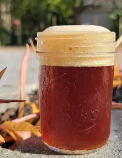Seasonal fall beer picture from brewing green